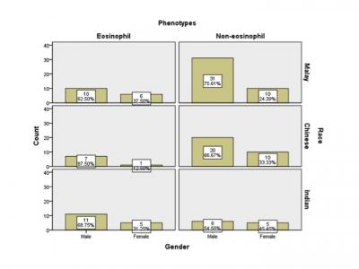 Figure 1: Percentage of cell phenotypes