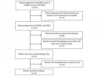 Figure 1: Patients’ disposition (Abbreviations: MIBC=muscle-invasive bladder cancer; NMIBC=non-muscle invasive bladder cancer; UMMC=University Malaya Medical Centre)