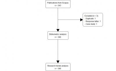 Figure 1: The flow of the analysis in this study.