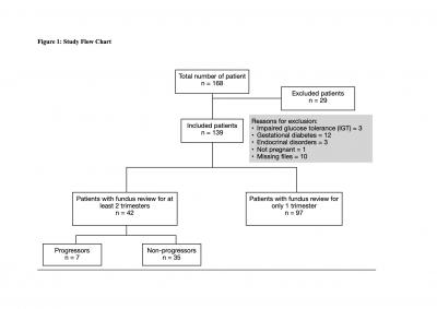 Figure 1: Study flow chart.